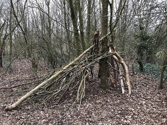 A long pole propped in the fork of a tree, with sticks leaned against it