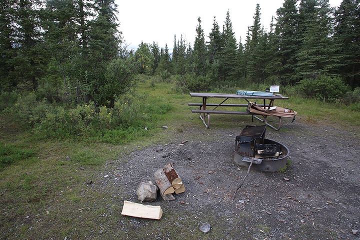 A metal fire ring in a bare dirt clearing with firewood beside it