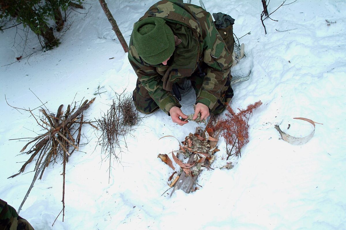 A student kneeling in snow breaking birch bark into small pieces