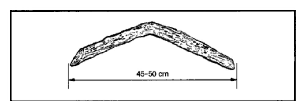 Drawing of a curved rabbit stick about 45 to 50 cm long