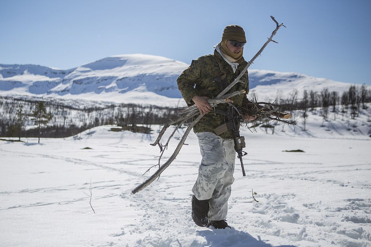 A person in winter gear carrying an armload of cut evergreen branches across snow
