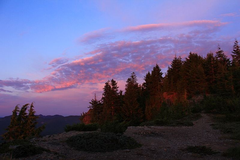 Dusk sky over a forested ridge, daylight almost gone