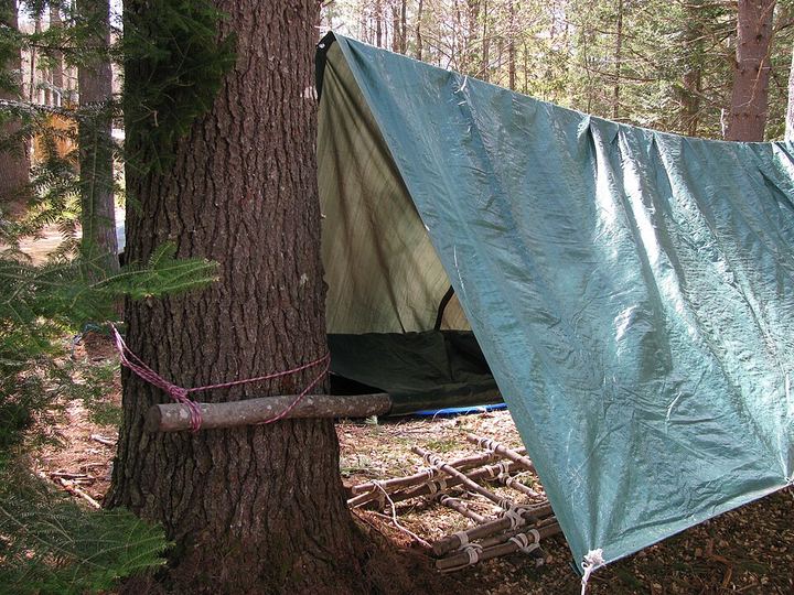 A tarp hung over a pole and cord tied between two trees in a forest