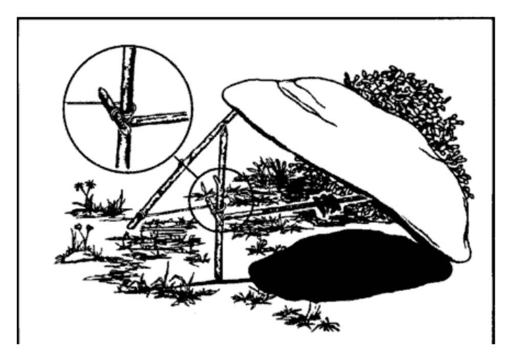 Drawing of a Paiute deadfall with a cord and catch stick
