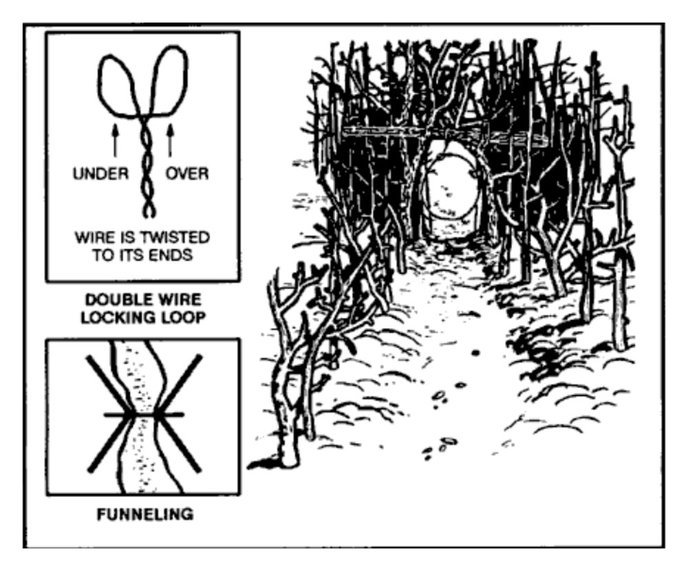 Drawing of a drag noose on a run, with sticks funneling the animal in