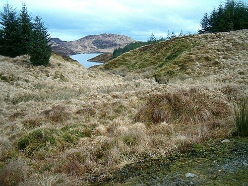 A stream valley between hills leading down to a lake