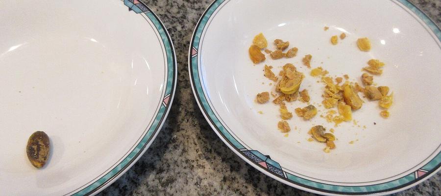 One whole acorn and a bowl of shelled acorn pieces