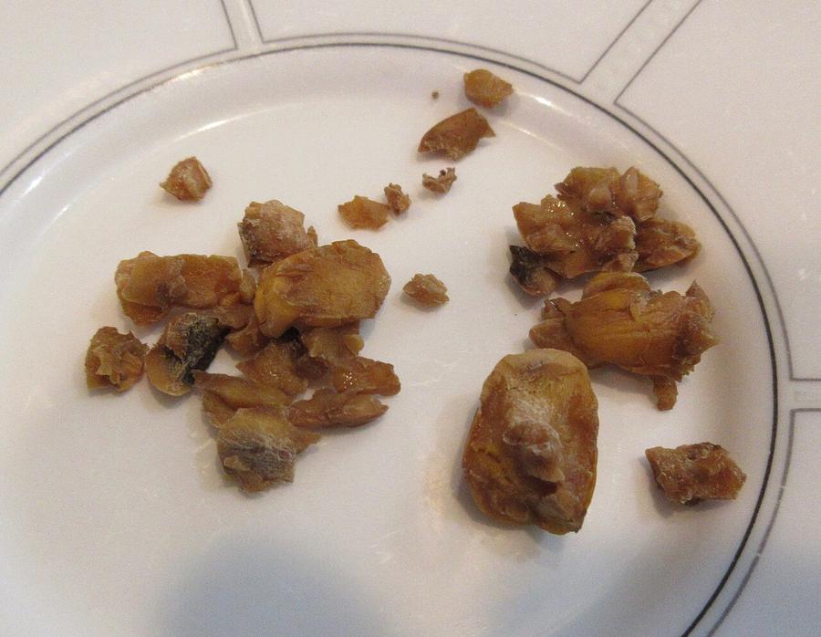 Leached and toasted acorn pieces on a plate