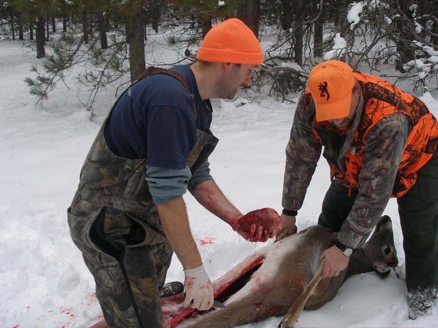 A hunter holding the heart of a white-tailed deer during field dressing