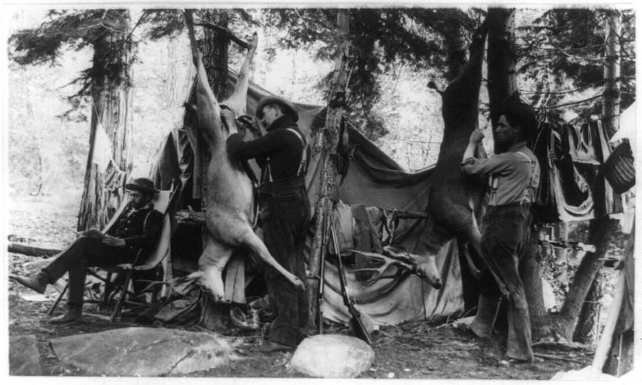 Old photo of men skinning a hanging deer