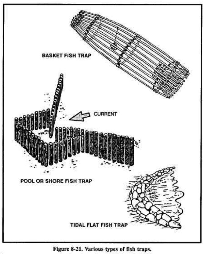 Drawing of a basket fish trap, a pool or shore fish trap and a tidal flat fish trap