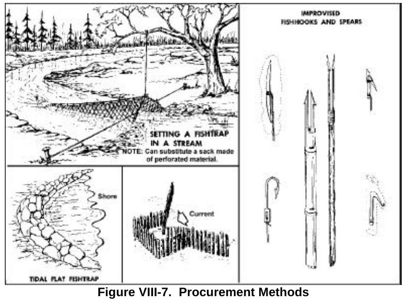 Drawings of homemade fishhooks and spears, a fish trap set in a stream and shore traps