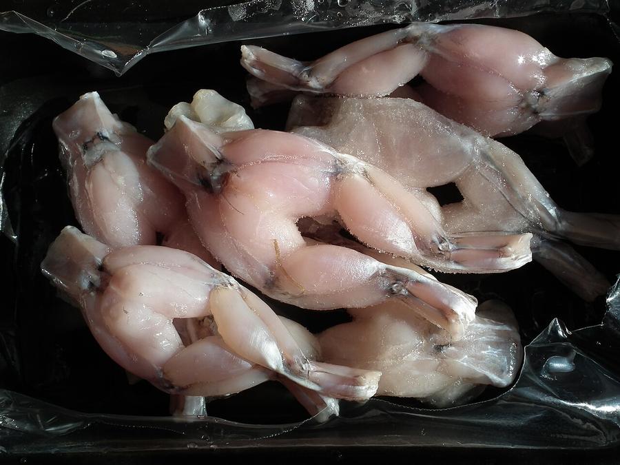 Skinned frog legs, ready to cook