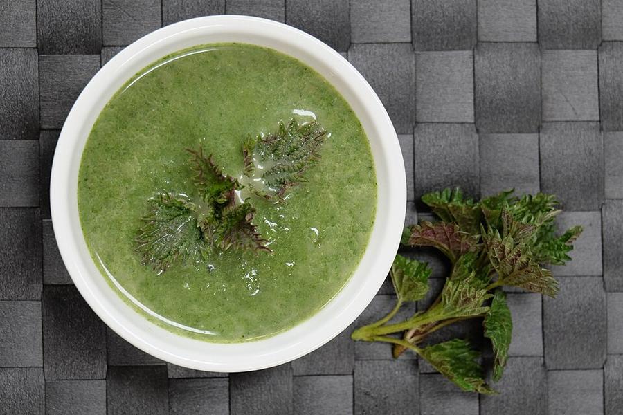 A bowl of green nettle soup