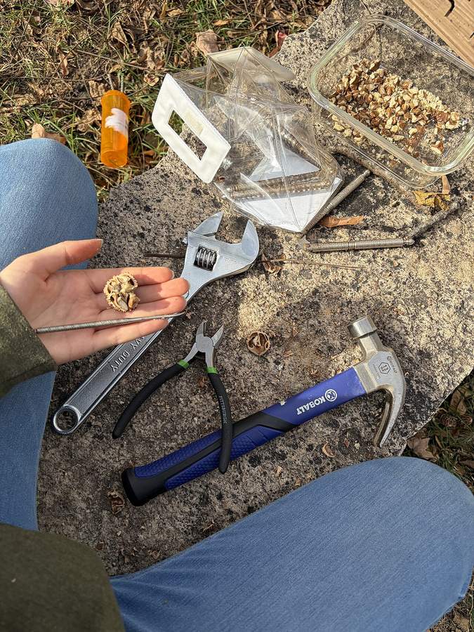 Tools for cracking black walnuts: hammer, pliers, wrench and a pick