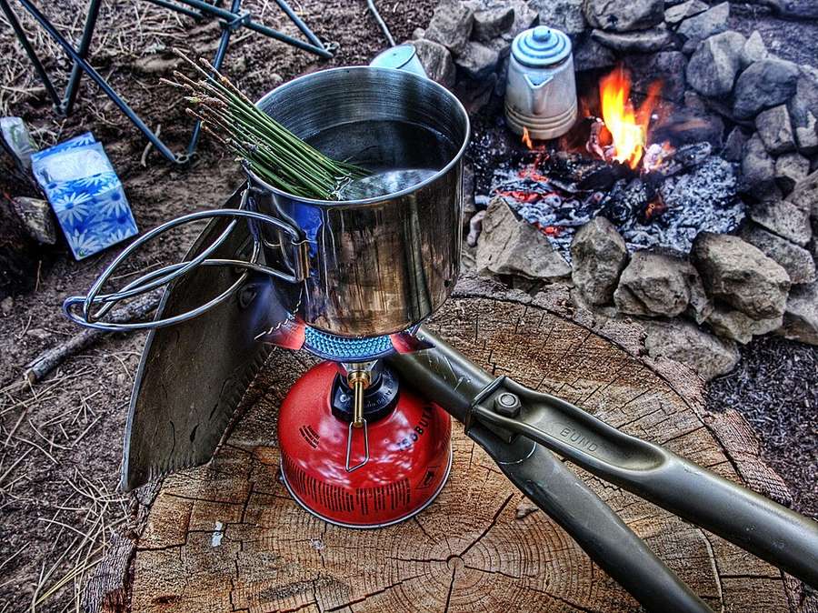 A cup of pine needle tea