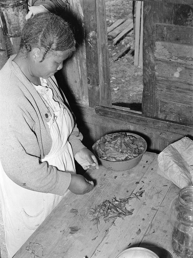 A woman sorting pokeweed greens for poke salad, in an old US government photo
