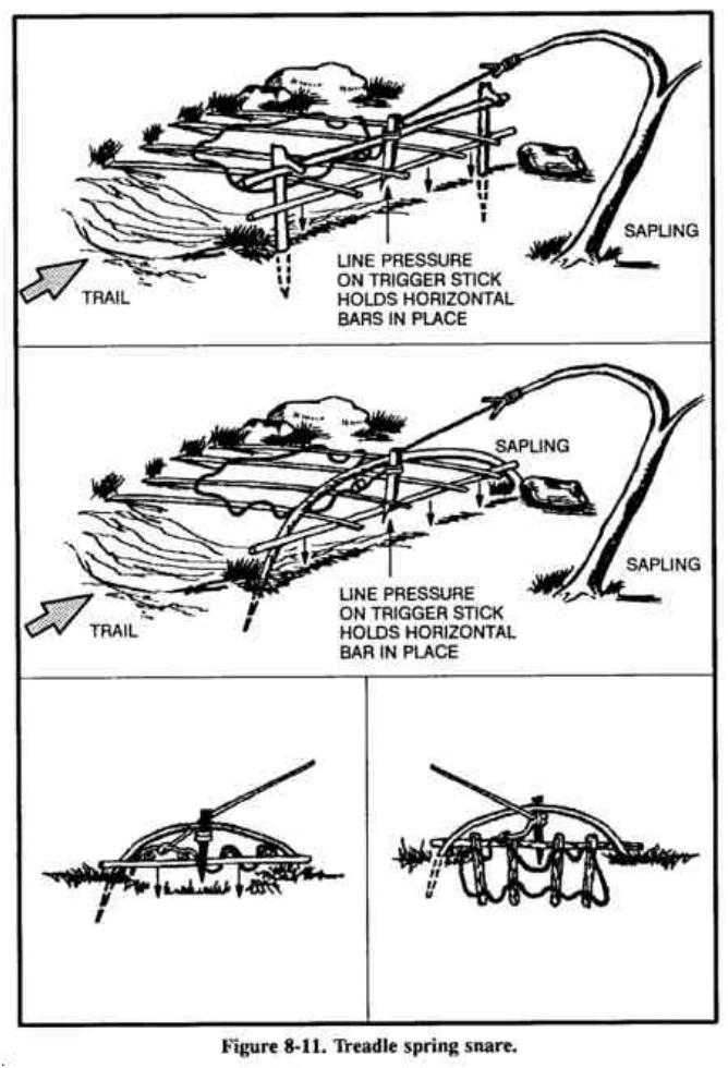Drawing of a treadle snare: sticks over a hole in the trail, a trigger and a bent sapling