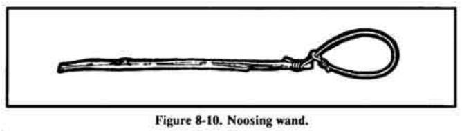 Drawing of a noosing wand: a pole with a wire loop on the end