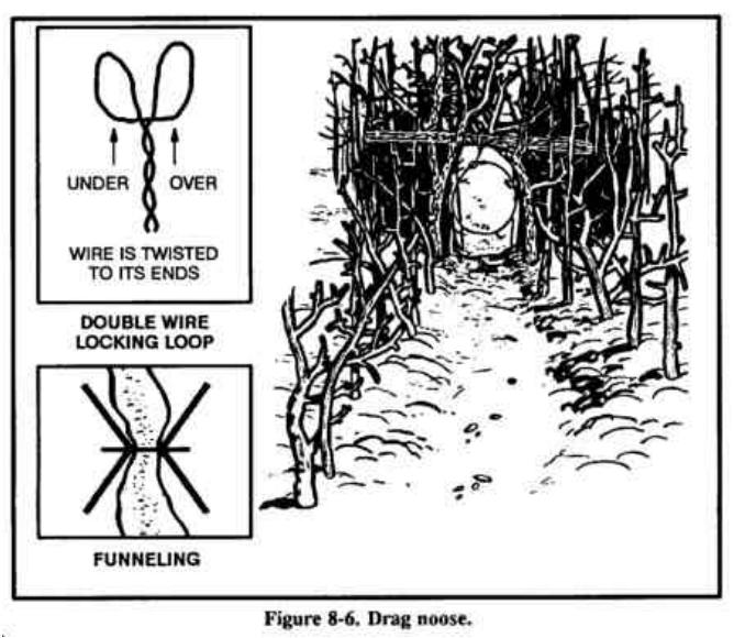 Drawing of a drag noose over an animal run, a wire locking loop and a funnel of sticks